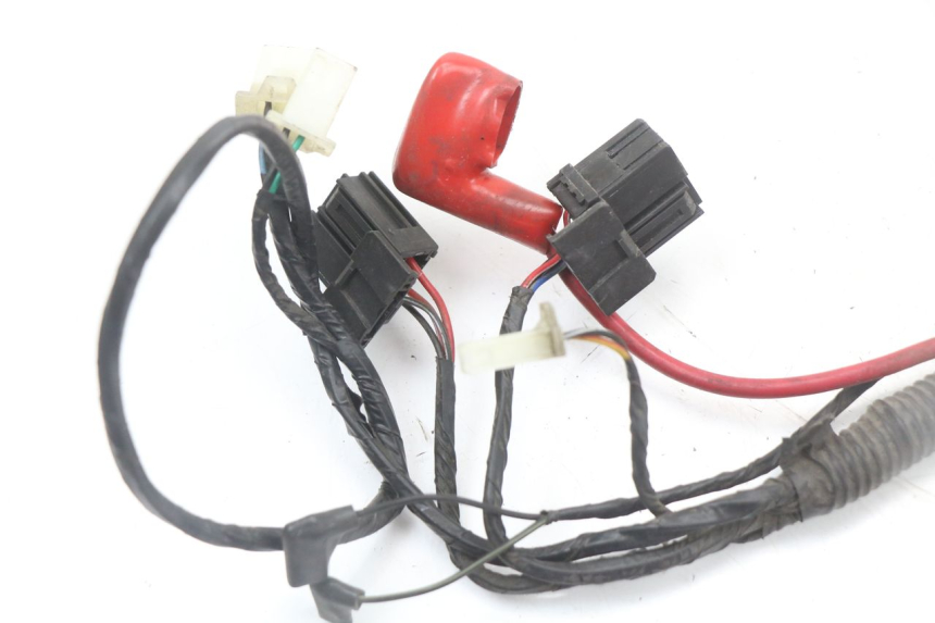 photo de CABLEADO LONGJIA EASY MAX 125 (2020 - 2024)