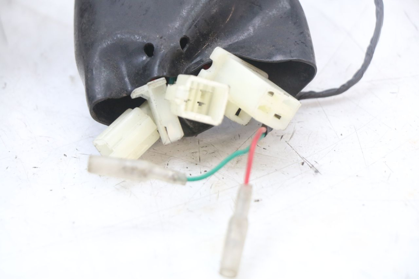 photo de CABLEADO LONGJIA EASY MAX 125 (2020 - 2024)