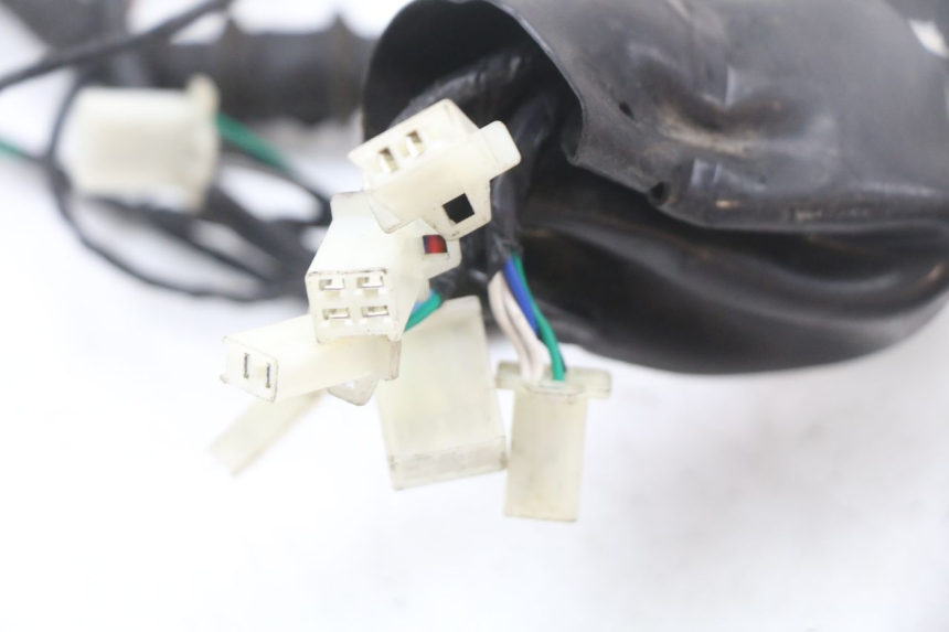 photo de CABLEADO LONGJIA EASY MAX 125 (2020 - 2024)