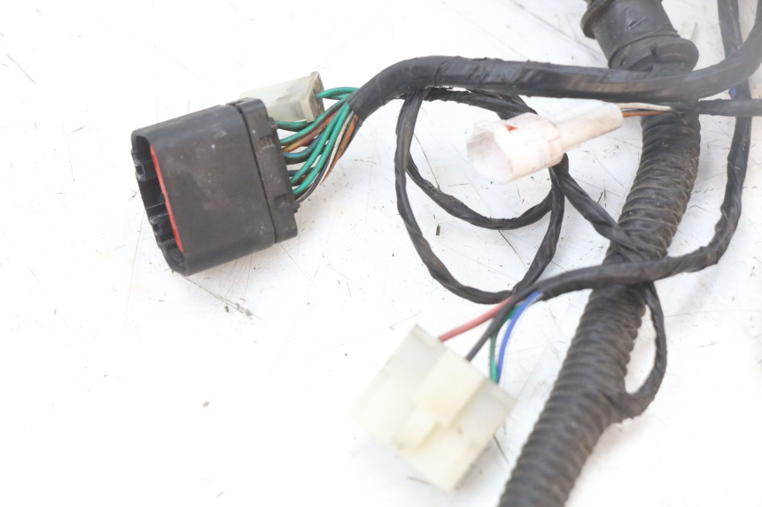 photo de CABLEADO LONGJIA EASY MAX 125 (2020 - 2024)