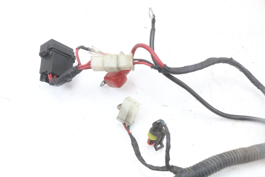 photo de CABLEADO LONGJIA EASY MAX 125 (2020 - 2024)