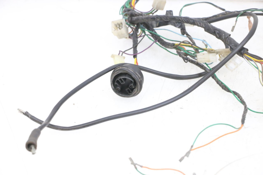 photo de CABLEADO PEUGEOT ELYSEO 125 (1999 - 2004) - Inspección visual detallada