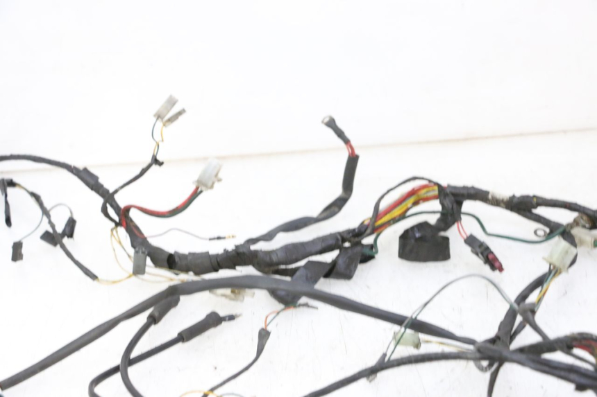 photo de CABLEADO PEUGEOT ELYSTAR 50 (2002 - 2014)