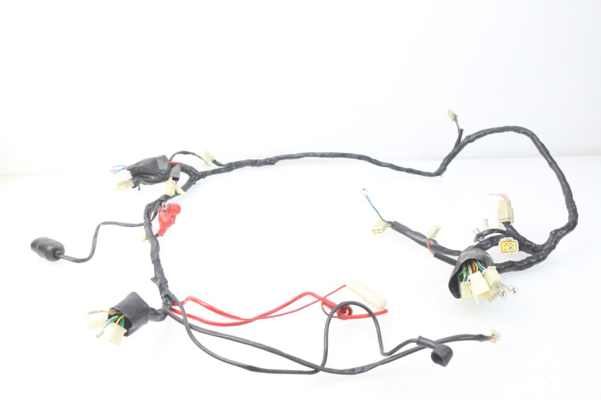 photo de CABLEADO EUROCKA FIFTY 50 (2013 - 2022)