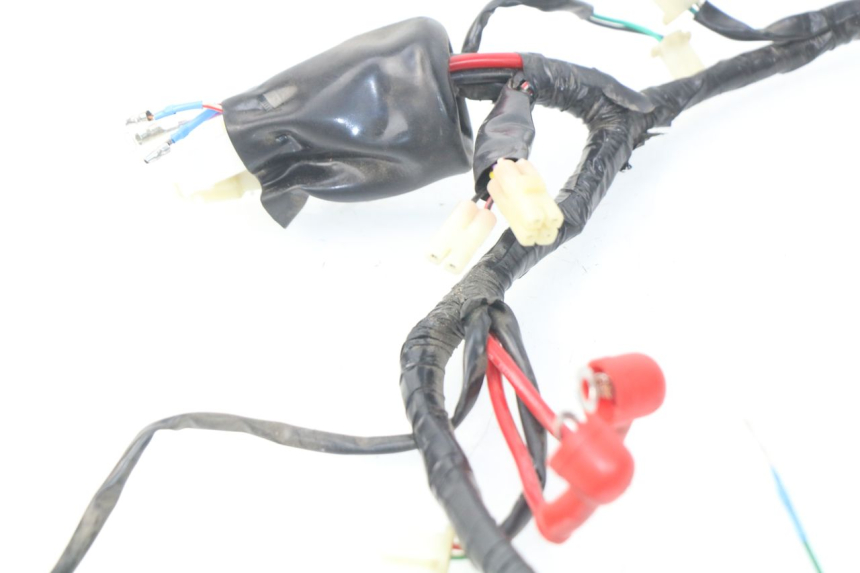 photo de CABLEADO EUROCKA FIFTY 50 (2013 - 2022)