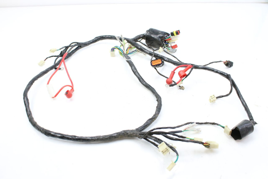 photo de CABLEADO JM MOTORS EVOLIS 4T 50 (2018 - 2022)
