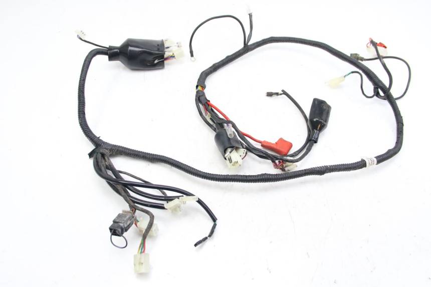 photo de CABLEADO JM MOTORS EVOLIS 4T 50 (2018 - 2022)
