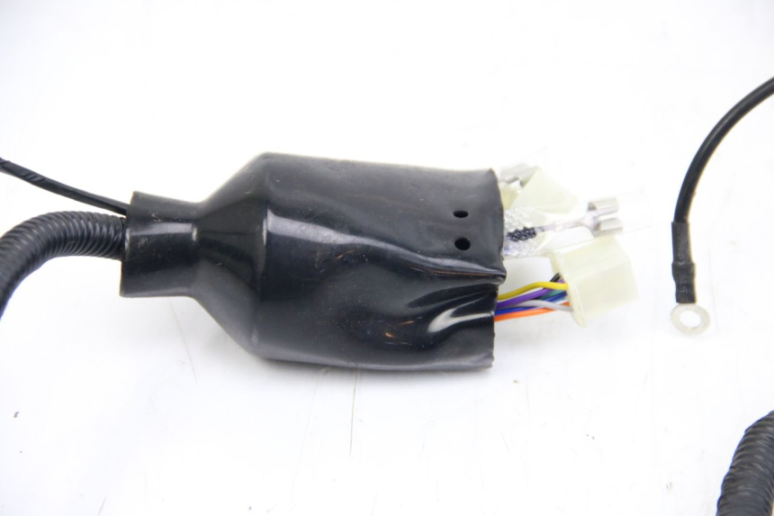 photo de CABLEADO JM MOTORS EVOLIS 4T 50 (2018 - 2022)