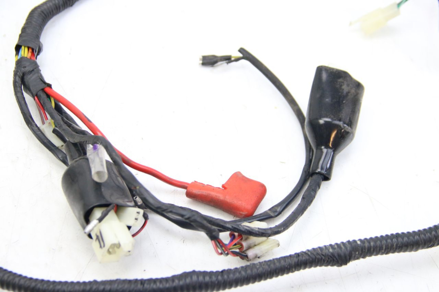 photo de CABLEADO JM MOTORS EVOLIS 4T 50 (2018 - 2022)