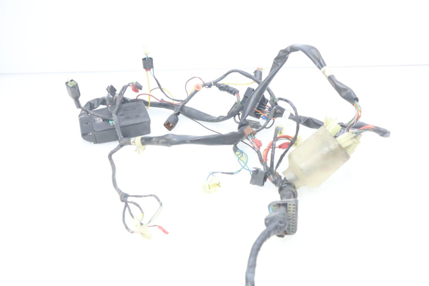 photo de CABLEADO HONDA FES PANTHEON 2T 125 (1998 - 2002)