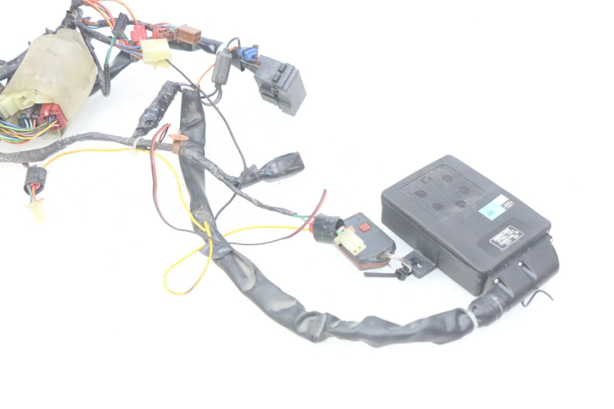 photo de CABLEADO HONDA FES PANTHEON 2T 125 (1998 - 2002)