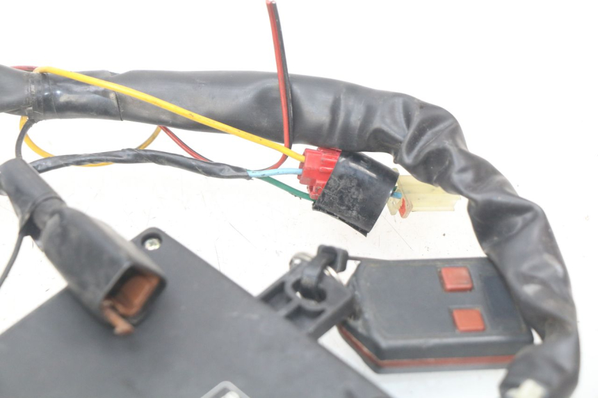 photo de CABLEADO HONDA FES PANTHEON 2T 125 (1998 - 2002)