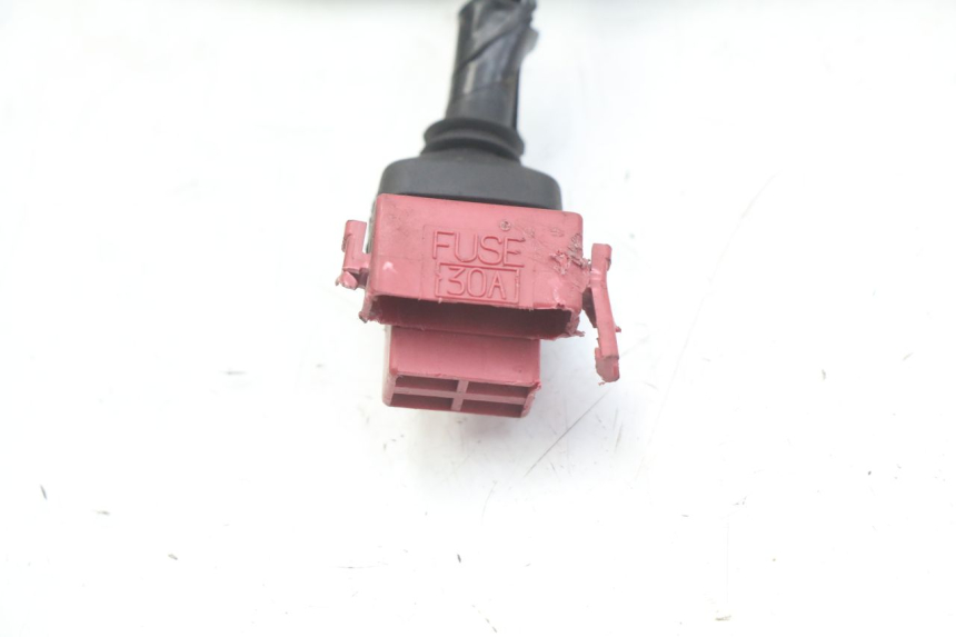 photo de CABLEADO HONDA FES PANTHEON 2T 125 (1998 - 2002)