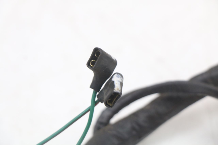 photo de CABLEADO HONDA FES PANTHEON 2T 125 (1998 - 2002)