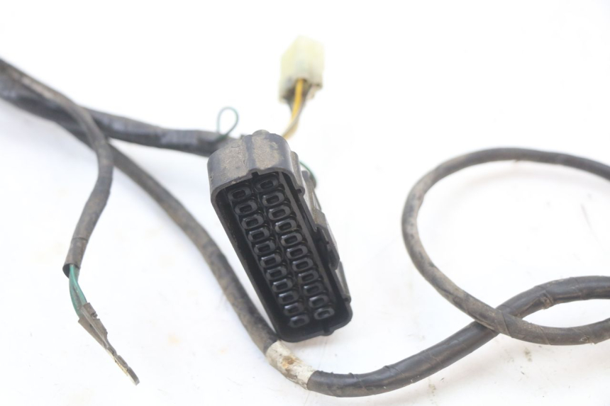 photo de CABLEADO HONDA FES PANTHEON 2T 125 (1998 - 2002)