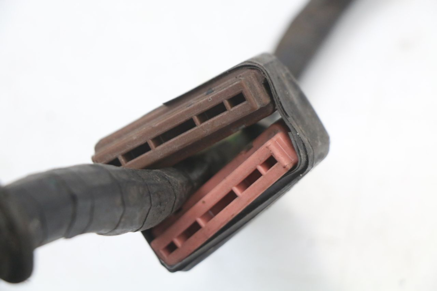 photo de CABLEADO HONDA FES PANTHEON 2T 125 (1998 - 2002)