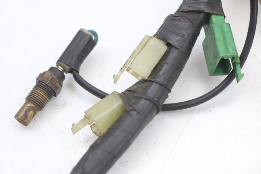 photo de CABLEADO HONDA FES PANTHEON 2T 125 (1998 - 2002)
