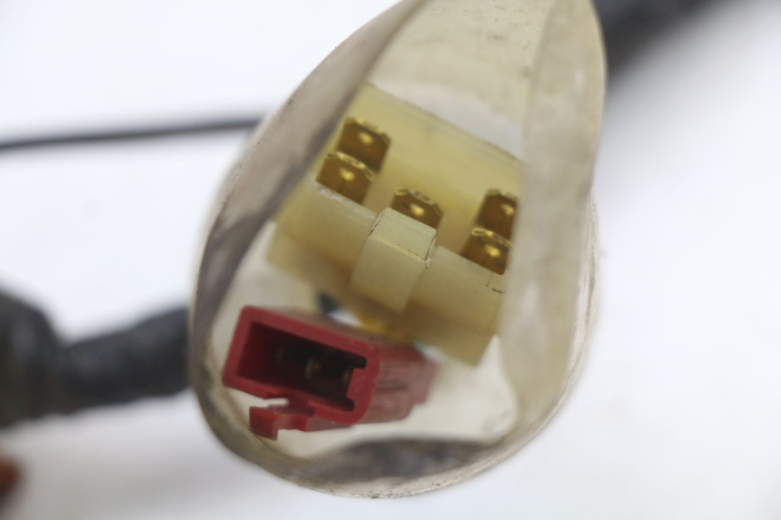 photo de CABLEADO HONDA FES PANTHEON 2T 125 (1998 - 2002)