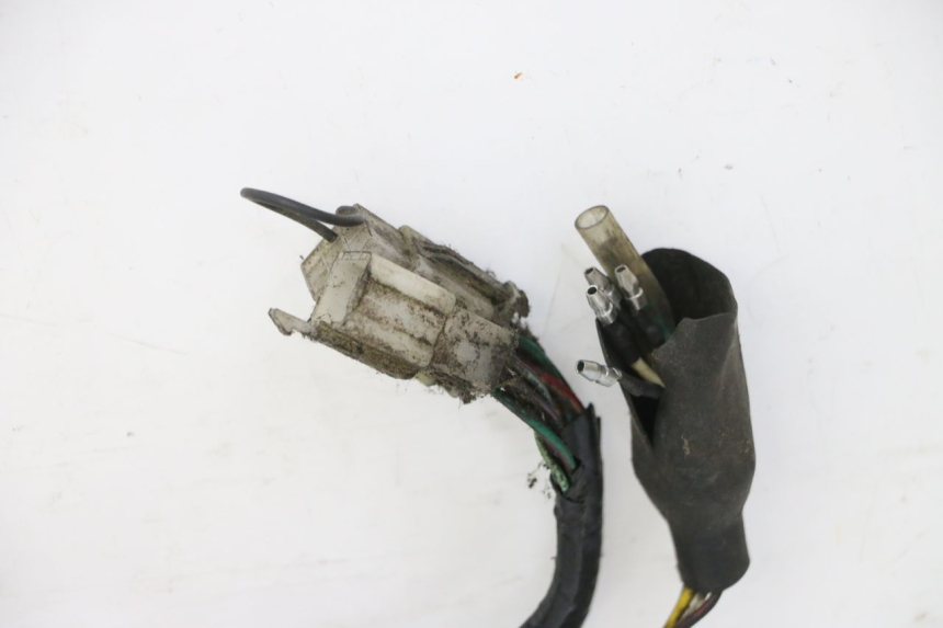 photo de CABLEADO STAHO FH 50 (2018 - 2019)