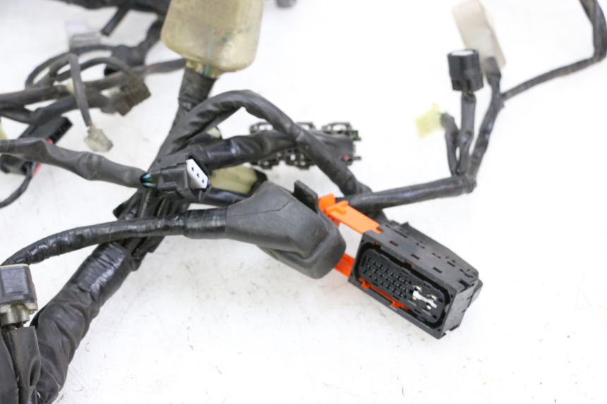 photo de CABLEADO HONDA FORZA ABS 300 (2013 - 2019)