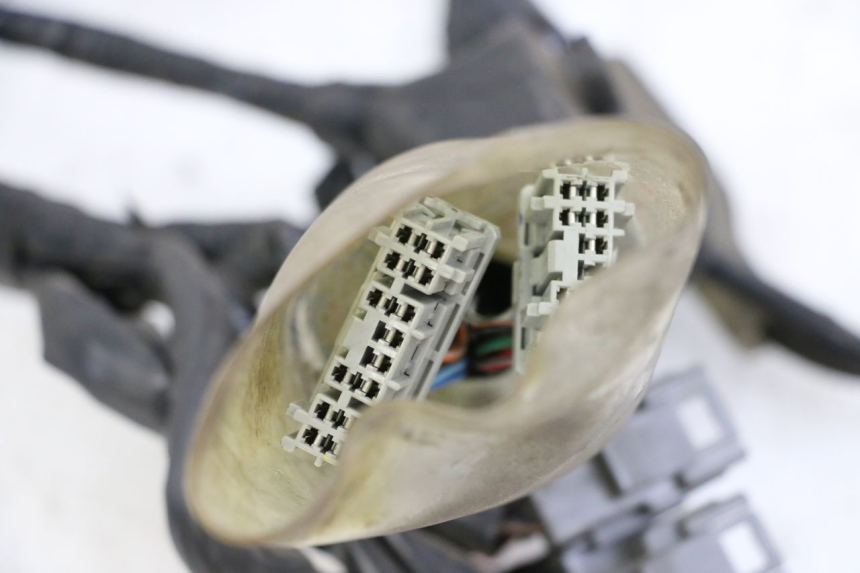 photo de CABLEADO HONDA FORZA ABS 300 (2013 - 2019)