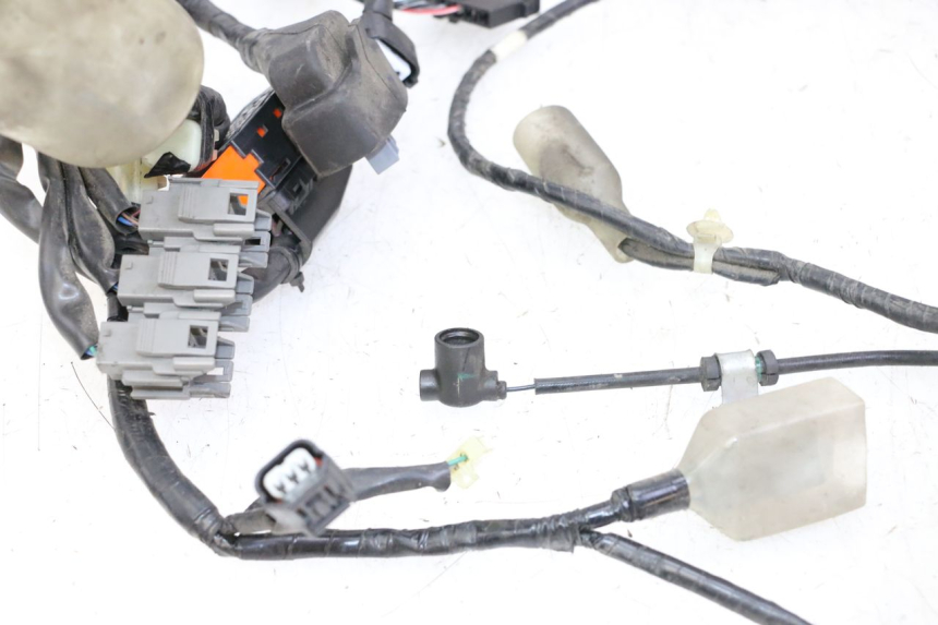 photo de CABLEADO HONDA FORZA ABS 300 (2013 - 2019)
