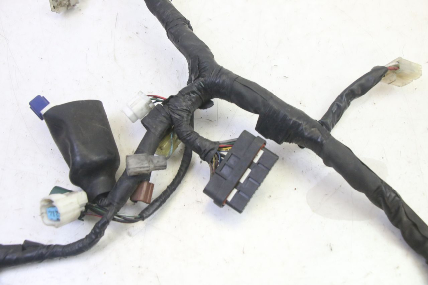 photo de CABLEADO YAMAHA FZ6 N FAZER 600 (2004 - 2006)