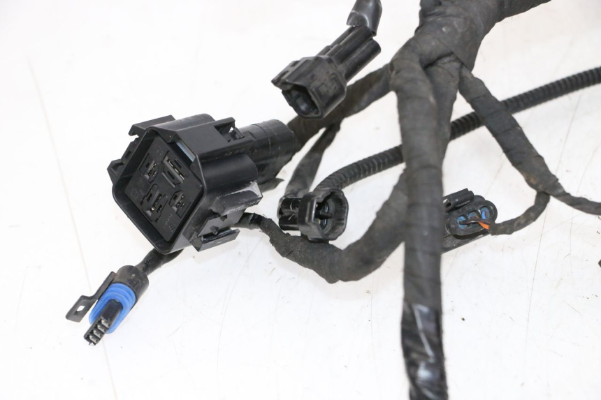 photo de CABLEADO BMW G310 R 310 (2016 - 2020)