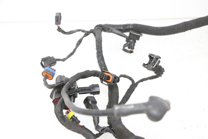 photo de CABLEADO BMW G310 R 310 (2016 - 2020)