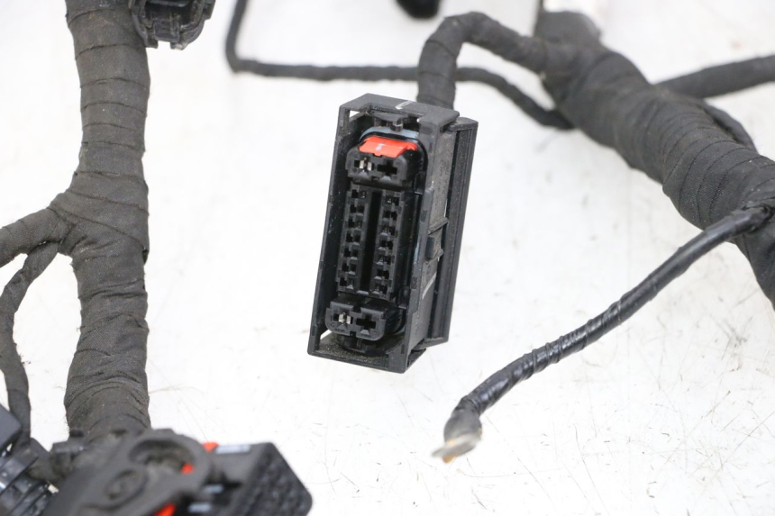 photo de CABLEADO BMW G310 R 310 (2016 - 2020)