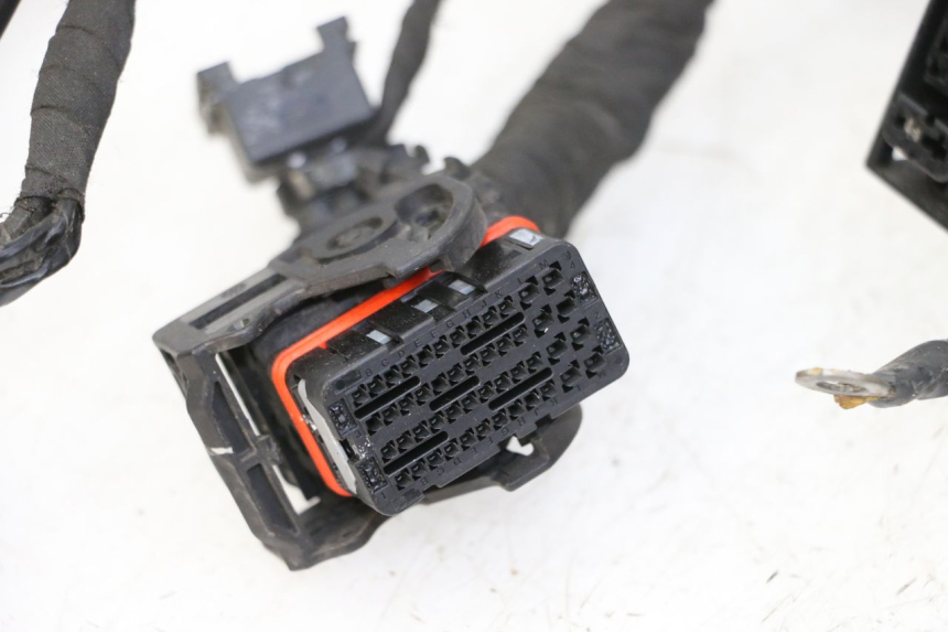 photo de CABLEADO BMW G310 R 310 (2016 - 2020)