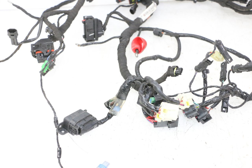 photo de CABLEADO BMW G310 R 310 (2016 - 2020)