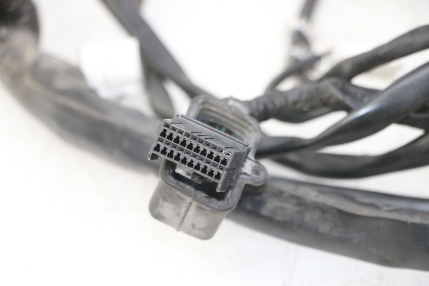 photo de CABLEADO GILERA NEXUS 300 (2008 - 2013)