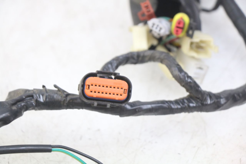 photo de CABLEADO EUROCKA GTR 50 (2007 - 2017)