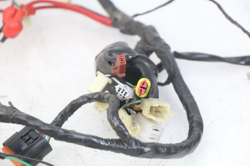 photo de CABLEADO EUROCKA GTR 50 (2007 - 2017)
