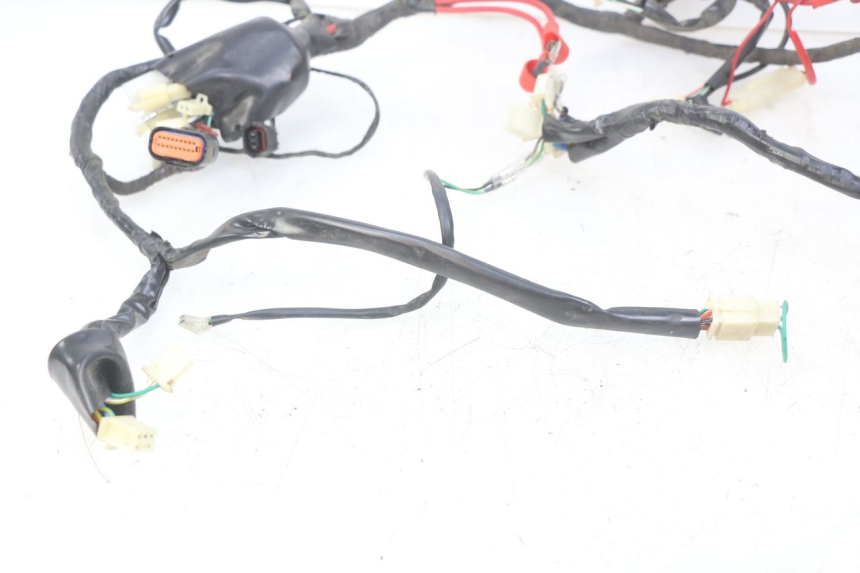 photo de CABLEADO EUROCKA GTR 50 (2007 - 2017)