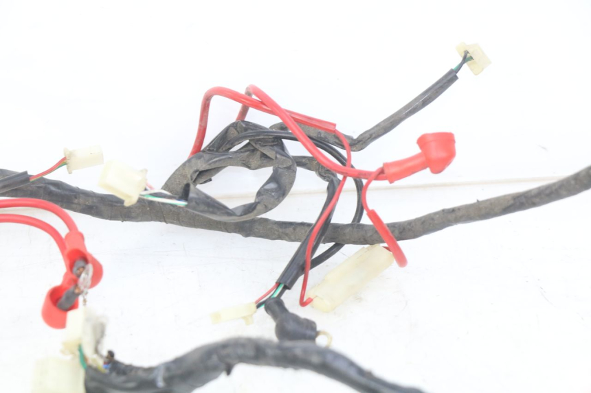 photo de CABLEADO EUROCKA GTR 50 (2007 - 2017)