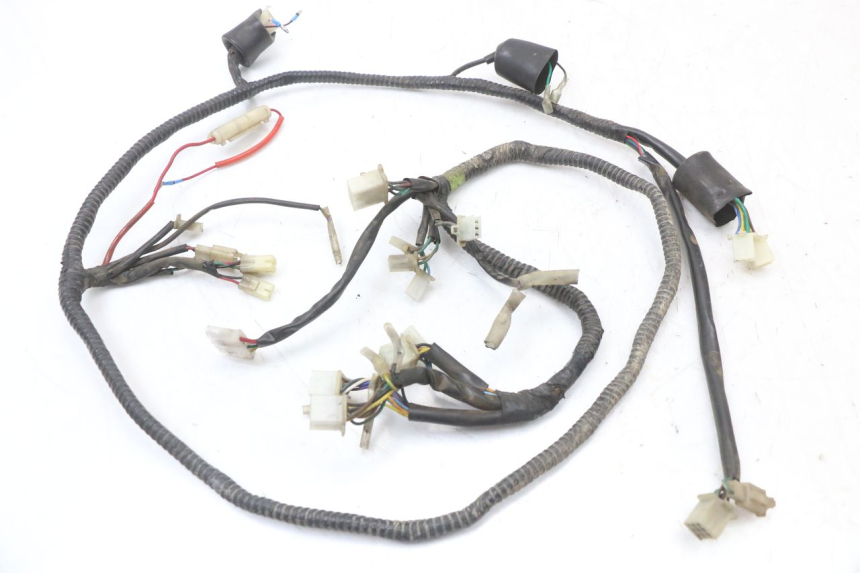 photo de CABLEADO EUROCKA GTR 50 (2007 - 2017)