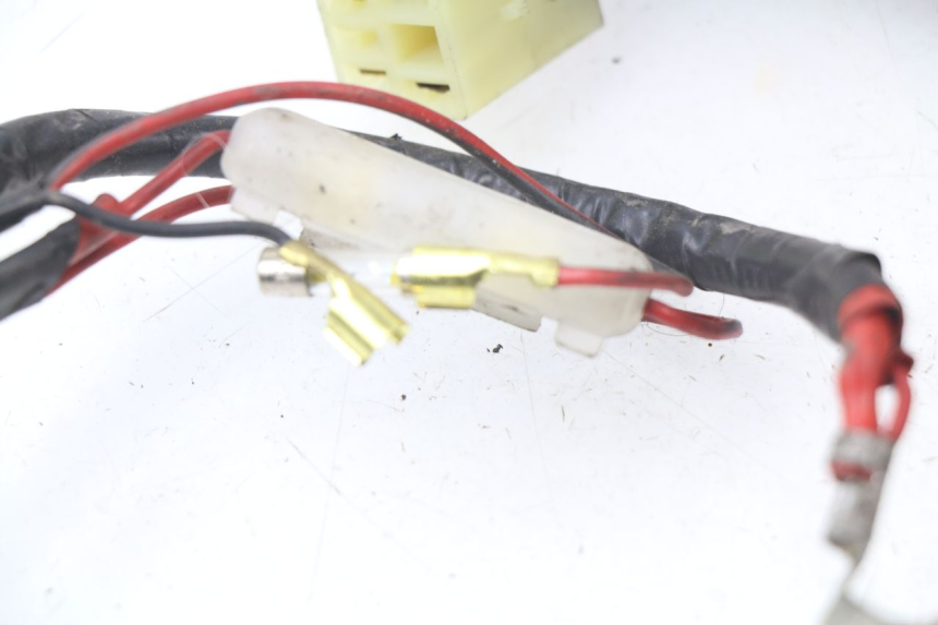 photo de CABLEADO HONDA BALI EX 100 (1996 - 2000)