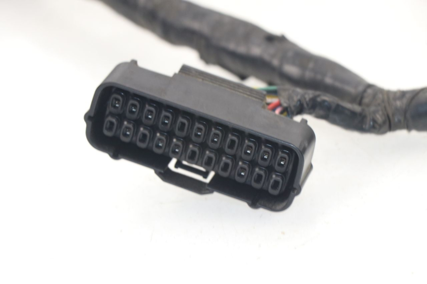 photo de CABLEADO HONDA CBF 500 (2004 - 2007)