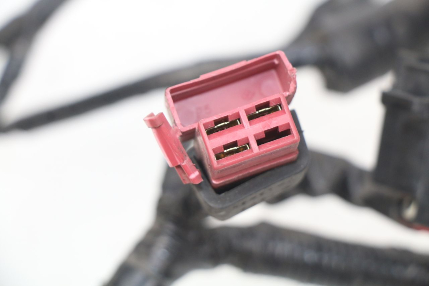 photo de CABLEADO HONDA CBRF CBR-F PC41 600 (2011 - 2013)