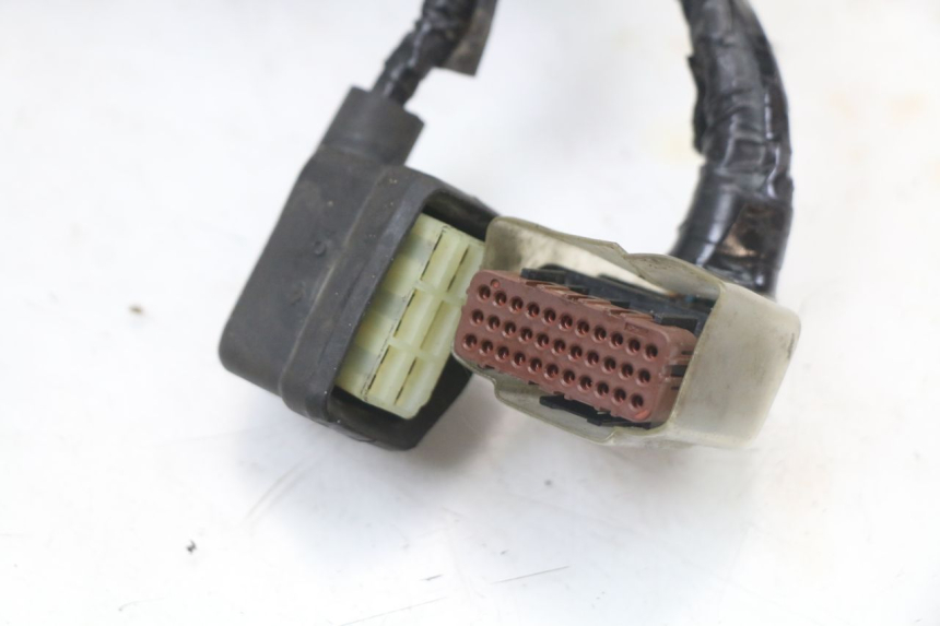 photo de CABLEADO HONDA CRF R 250 (2020 - 2021)