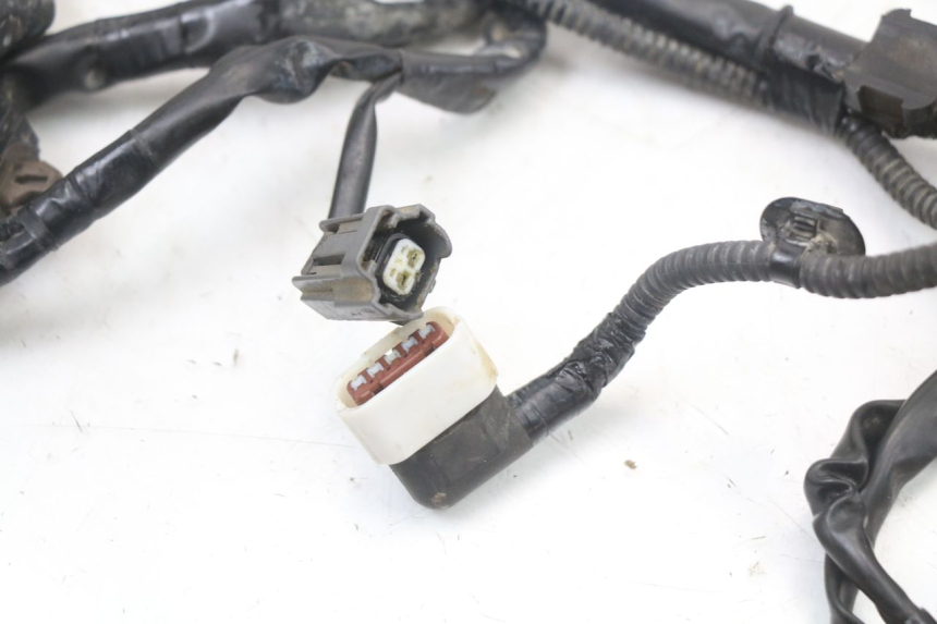 photo de CABLEADO HONDA CRF R 250 (2020 - 2021)