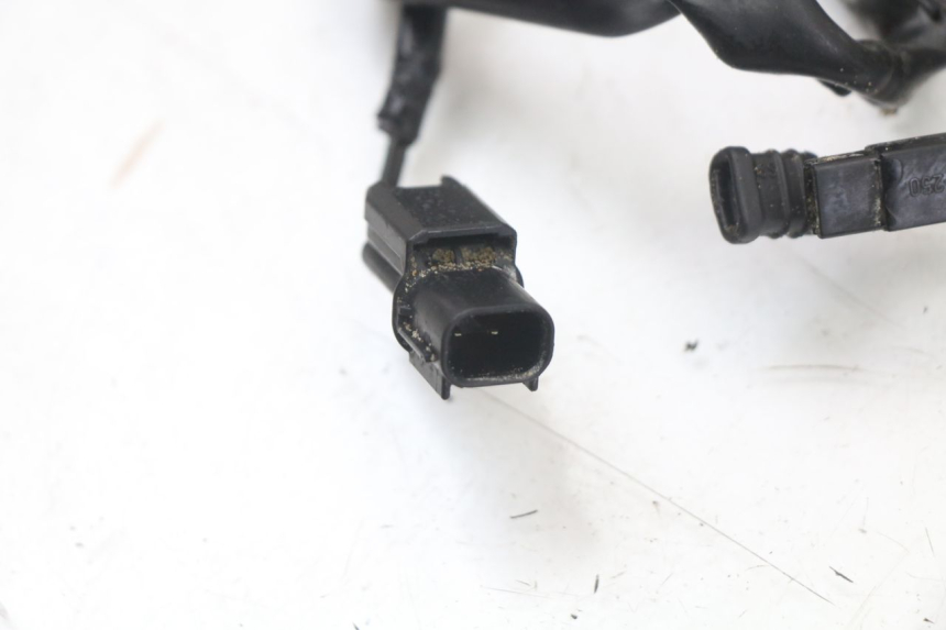 photo de CABLEADO HONDA CRF R 250 (2020 - 2021)