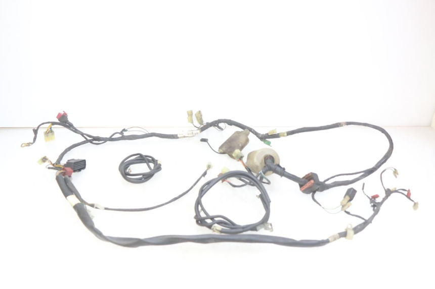 photo de CABLEADO HONDA FES PANTHEON 2T 125 (1998 - 2002)