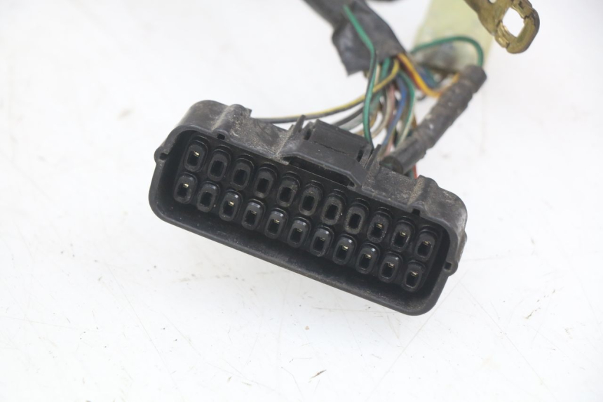 photo de CABLEADO HONDA FES PANTHEON 2T 125 (1998 - 2002)