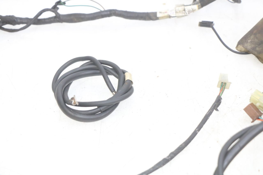 photo de CABLEADO HONDA FES PANTHEON 2T 125 (1998 - 2002)