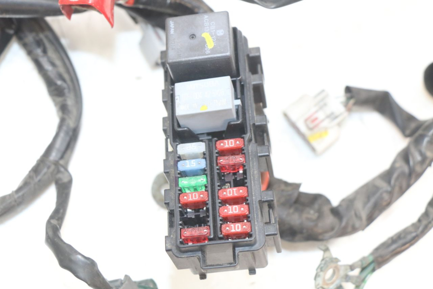 photo de CABLEADO HONDA FORZA 125 (2015 - 2016)