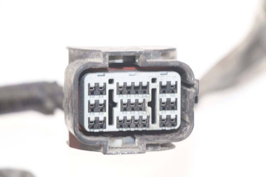 photo de CABLEADO HONDA FORZA 125 (2015 - 2016)