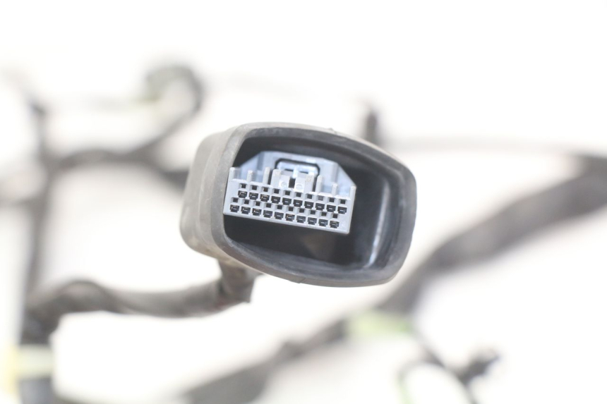 photo de CABLEADO HONDA FORZA 125 (2015 - 2016)